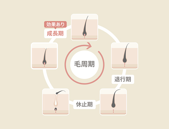 必要な回数・通院期間